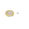 5mm Durchmesser x 1mm dicker N35-Neodym-Magnet – 0,2kg Zugkraft
