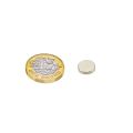 10mm Durchmesser x 2mm dicker N42-Neodym-Magnet – 1,3kg Zugkraft