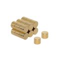 5mm Durchmesser x 4mm dicker N42-Neodym-Magnet – 0,66kg Zugkraft (vergoldet)