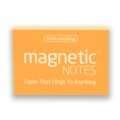 Tesla Amazing Magnetische Notizen – Pastell – Sonnenschein (200 x 100mm) (100 Stück)