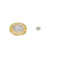 6mm Durchmesser x 0,5mm dicker N42-Neodym-Magnet – 0,2kg Zugkraft