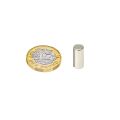6mm Durchmesser x 14mm dick, diametral magnetisierter N42-Neodym-Magnet – 1,32kg Zugkraft