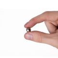 10mm Durchmesser N42 Neodym Kugelmagnete - 1.4kg Zugkraft